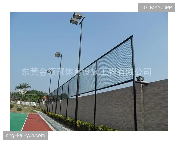 球场夜间活动噪音管理与居民沟通成功范例，篮球场噪声